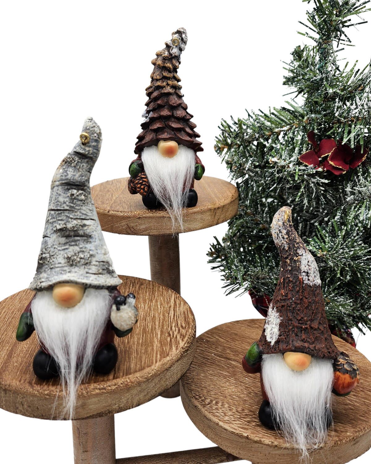 Everyday Gnome